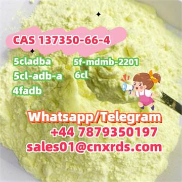 Sell high quality CAS 137350-66-4（5cladba,5cl-adb-a,5f-mdmb-2201,6cl,4fadb）